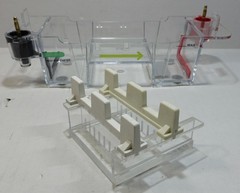 Bio-Rad Mini-Sub Cell GT DNA Electrophoresis Tank, Tray & 2 Combs