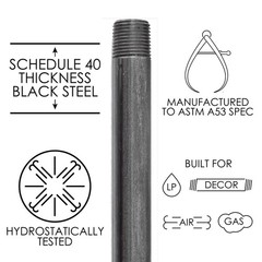 STZ Industries 1 in. MIP each T X 1 in. D MIP Black Steel 12 in. L Nipple