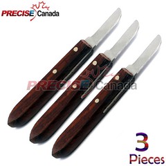 PRECISE CANADA 3 Pcs Dental Instrument Knife Type Buffalo Original 7R