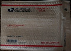 Flat Rate Envelope Priority Mail USPS United States Postal Service 10×12 Padded