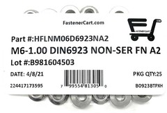 (25) M6 x 1.0 Stainless Steel Non-Serrated Flange Nuts DIN6923 Nuts M6-1.0 A2